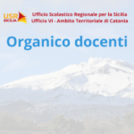 Organico dei posti di sostegno della Città metropolitana di Catania per l’anno scolastico 2025/2026