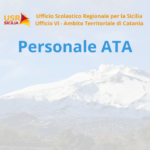 Procedura selettiva per l’attribuzione delle posizioni economiche finalizzate alla valorizzazione professionale del personale A.T.A. all’interno delle Aree, di cui al decreto ministeriale 12 luglio 2024, n. 140 – CONVOCAZIONE CANDIDATI PROVA SUPPLETIVA