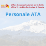 Esiti interpello per la copertura del posto di D.S.G.A. disponibile presso I.C. “Padre Pio da Pietralcina” di Misterbianco fino al 27/06/2026 – Scorrimento